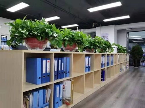 西安咸陽及周邊地區公司注冊與專業服務全解析 從工商注冊到代理記賬、審計、食品勞務派遣